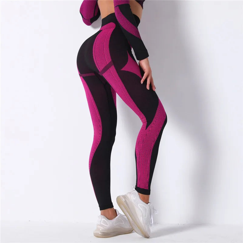 High Waist Seamless Pants and Shorts