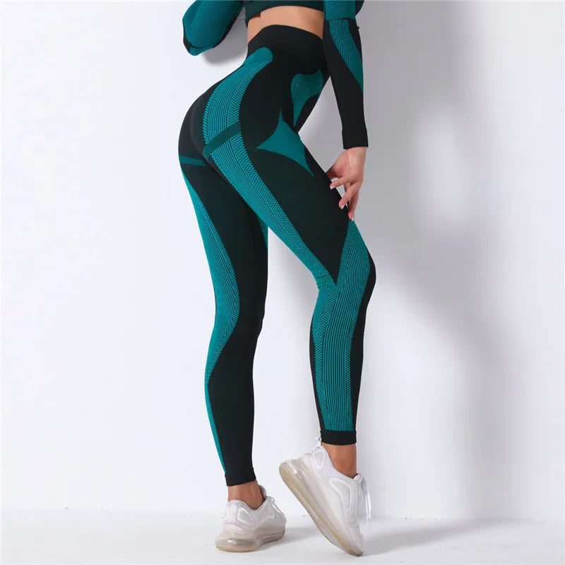High Waist Seamless Pants and Shorts