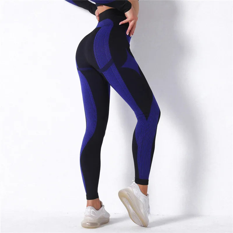High Waist Seamless Pants and Shorts