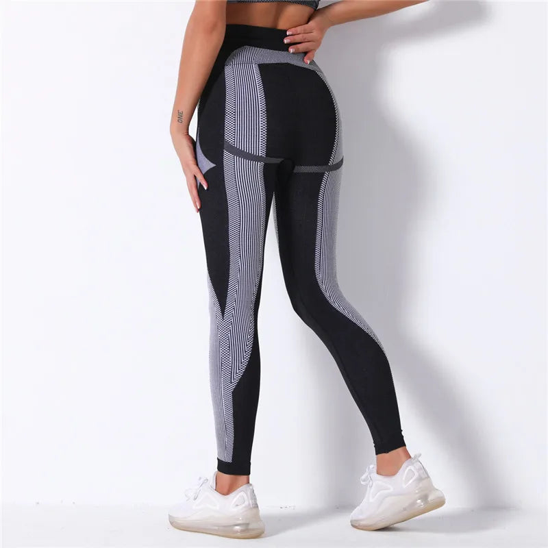 High Waist Seamless Pants and Shorts