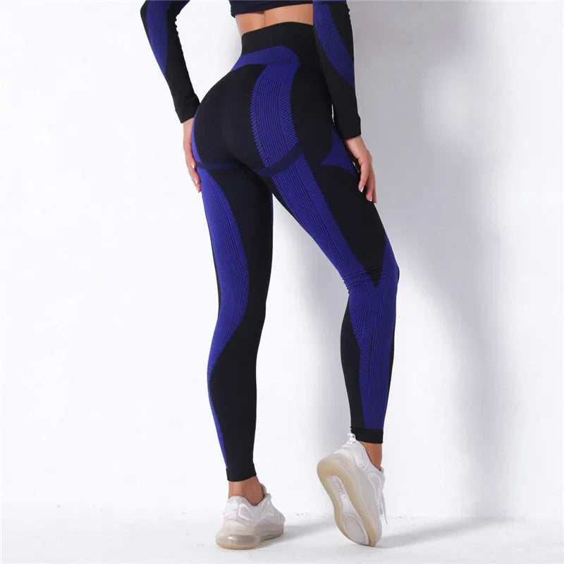 High Waist Seamless Pants and Shorts