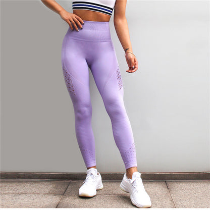 Sought After Mesh Style Yoga Pants